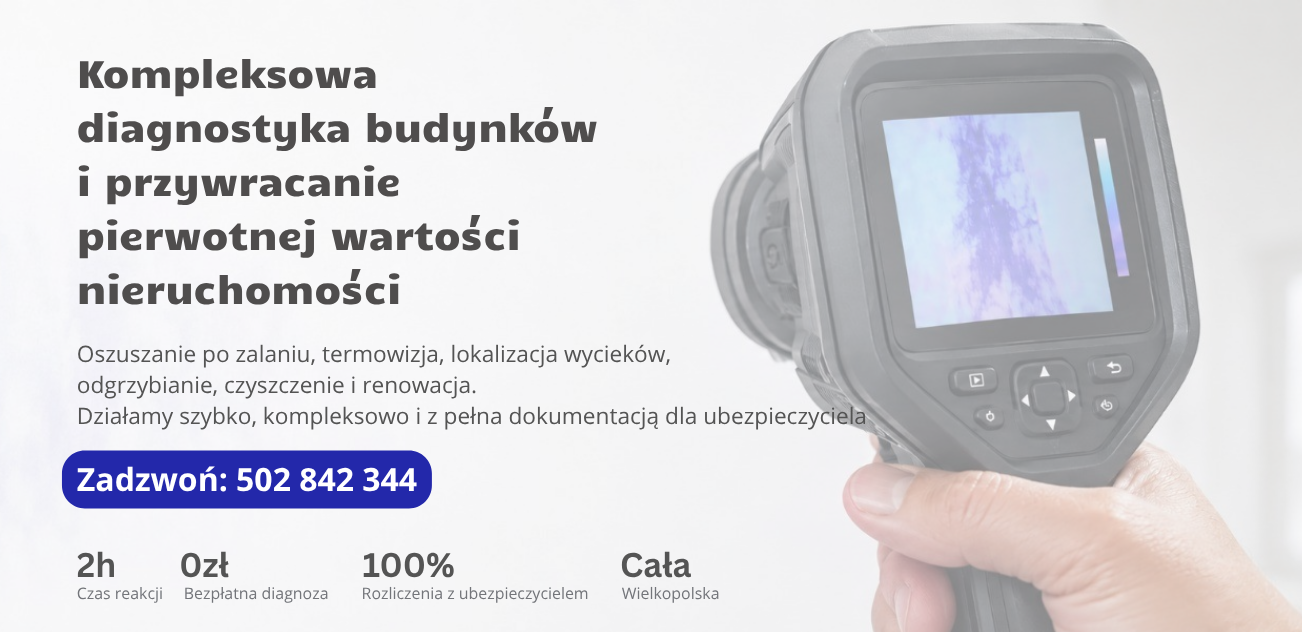 oszuszanie poznań